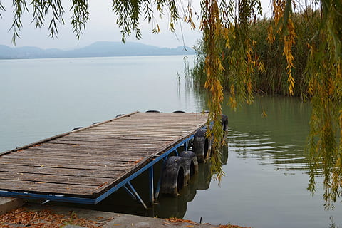 autumn, lakeside, plot, waterfront, lake, nature, water, autumn mood, tranquility, tranquil scene, tree, scenics - nature, reflection, plant, beauty in nature, no people, wood - material, day, sky, non-urban scene, pier, idyllic, built structure, outdoors, wooden post, 4K, CC0, public domain, royalty free