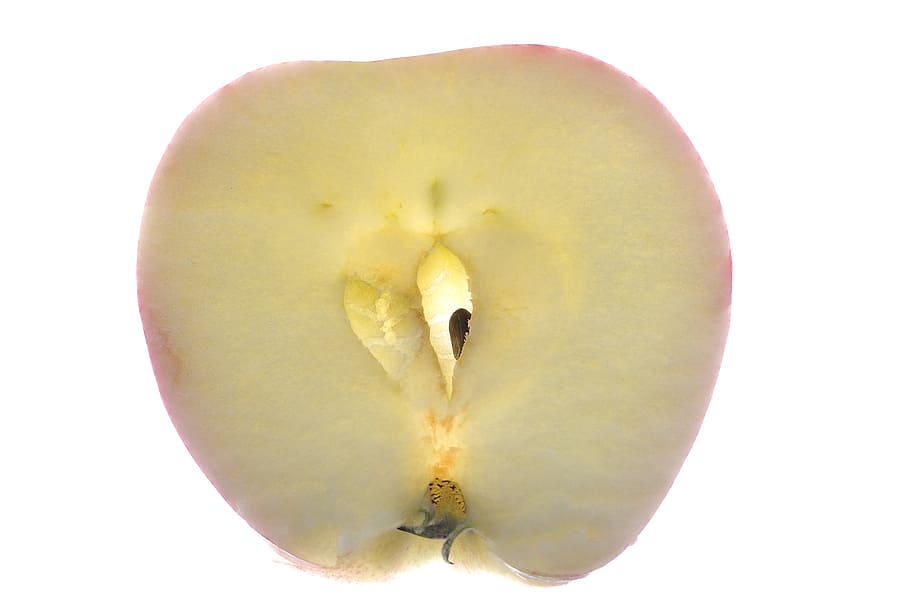 poma, macro, fruita, tancar, kernobst gewaechs, tir de l'estudi, fons blanc, primer pla, alimentació saludable, menjar i beguda, tallar, sol objecte, natura morta, benestar, menjar, frescor, a l'interior, cap gent, fruita de poma, planta, llavor, naturalesa, bellesa a la natura, groc, flor, 2K