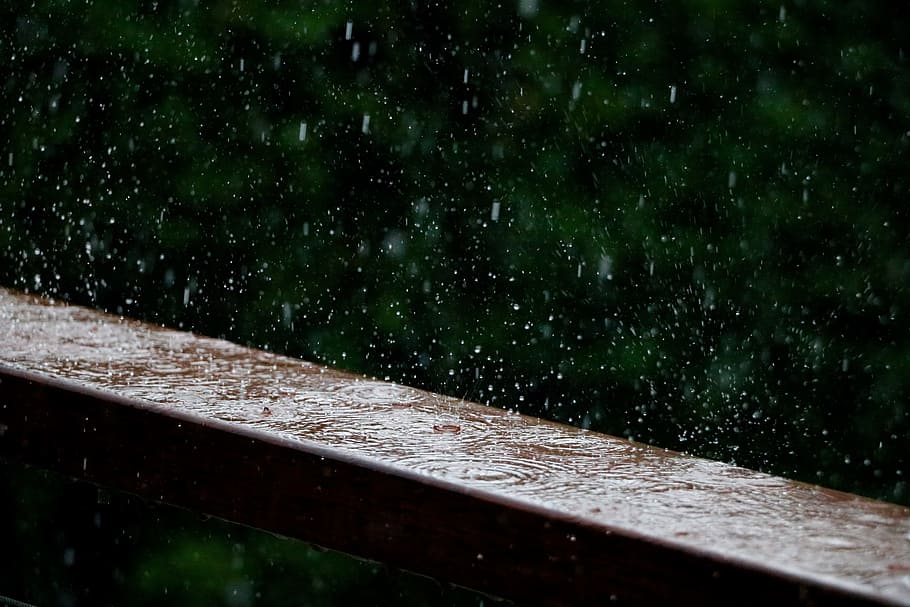 foto de les gotes de pluja, fotografia de lapse de temps, gotes de pluja, pluja, pluja caient, naturalesa, material de fusta, fons, cap gent, arbre, color verd, a l'aire lliure, nit, aigua, tirar, humit, gota de pluja, moviment, centrar-se en primer pla, planta, monsó, bellesa a la natura, arquitectura, temporada de pluges, nevar, 5K