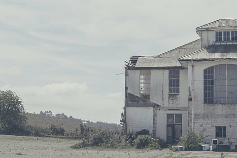 2-storey, white, building, gray, soil, day time, architecture, infrastructure, structure, establishment, windows, old, abandoned, clouds, sky, trees, leaves, shrubs, bushes, building exterior, built structure, plant, tree, nature, cloud - sky, day, no people, window, land, outdoors, house, residential district, field, 5K, CC0, public domain, royalty free