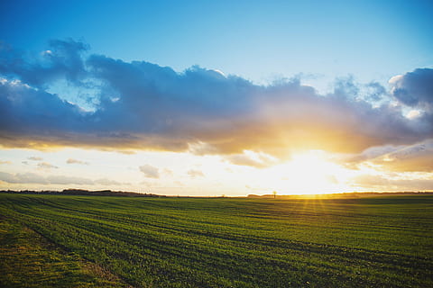 green grass field, green, grass, field, sunset, sky, clouds, rural, farm, countryside, agriculture, landscape, nature, outdoors, tranquil scene, tranquility, scenics, beauty in nature, rural scene, land, environment, scenics - nature, cloud - sky, sun, sunlight, crop, idyllic, plant, lens flare, no people, bright, 5K, CC0, public domain, royalty free