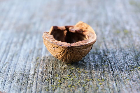 nut, nutshell, walnut, nature, brown, shell, open, empty, close-up, food, wood - Material, nut - Food, fruit, food and drink, no people, selective focus, healthy eating, wellbeing, textured, still life, table, freshness, day, outdoors, heart shape, simplicity, emotion, snack, vegetarian food, 4K, CC0, public domain, royalty free