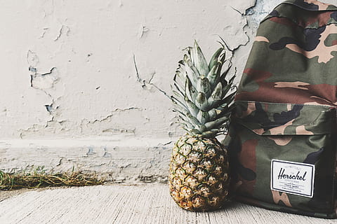 φρούτα ανανά, δίπλα, σακίδιο backpack, ανανάς, πράσινος, καφέ, καμουφλάζ σακουλάκι σακίδιο, ΣΑΚΙΔΙΟ ΠΛΑΤΗΣ, καρπός, τσάντα, herschel, τείχος, σκυρόδεμα, grunge, μεθυσμένος, γρασίδι, camo, πεύκα, απολέπιση, χαρακτηριστικό δόμησης τοίχου, ημέρα, φαγητό, φυτό, τροπικό φρούτο, φαγητό και ποτό, υγιεινή διατροφή, φρεσκάδα, επικοινωνία, ευεξία, πράσινο χρώμα, χωρίς κόσμο, γκρο πλαν, φύση, σε εξωτερικό χώρο, 5K, CC0, δημόσιος τομέαςα, χωρίς δικαιώματαe