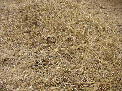 Haystack, Straw, Hay, Dry, Field, agriculture, agricultural, nature, freshness, harvest, crops, plants, cultivation, outdoor, landscape, farm, rural, farming, backgrounds, grass, brown, no People, close-up, outdoors, cereal plant, crop, full frame, plant, land, growth, day, tranquility, rural scene, high angle view, wheat, beauty in nature, stalk, 1080P, CC0, public domain, royalty free