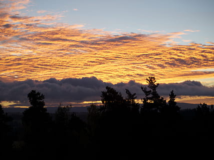 nuage, paysage, Soleil, ciel, Matin, beau, des nuages, la lumière du soleil, des arbres, le coucher du soleil, la nature, crépuscule, lever du soleil - aube, paysages, couleur orange, en plein air, Aube, arbre, nuage - ciel, paysages - nature, beauté dans la nature, scène tranquille, tranquillité, plante, silhouette, personne, scène non urbaine, idyllique, croissance, environnement, eau, 2K, CC0, domaine public, libre de droits