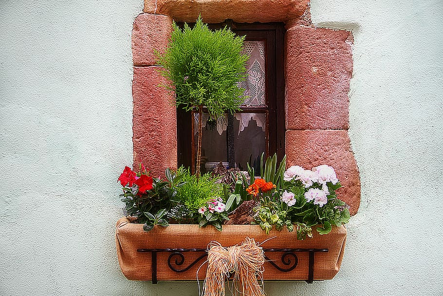 blomsterkasse, vindue, bygning, blomst, potteplante, dør, plante, arkitektur, bygget struktur, blomstrende plante, murbygningsfunktion, vækst, ingen mennesker, natur, bygning udvendig, blomsterkrukke, dag, dekoration, træ - materiale, grøn farve, udendørs, friskhed, vindues boks, Stenmur, blomster arrangement, 5K
