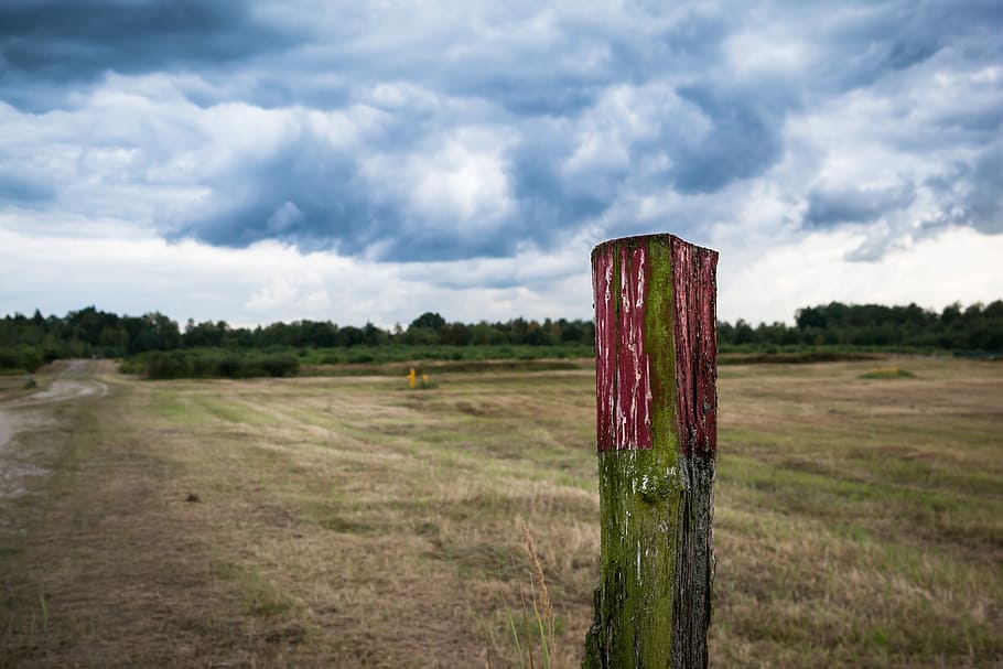Heide, migrující, charakter, mraky, nebe, migračního charakteru, turistika, wahner pohan, vřesoviště, Příroda, venkovské scény, venku, plot, krajina, tráva, nikdo, mrak - nebe, dřevěný sloupek, pole, zemědělství, přistát, dřevo - materiál, životní prostředí, klid, klidné scény, rostlina, pošta, den, strom, scenics - příroda, růst, mimoměstské scény, 5K