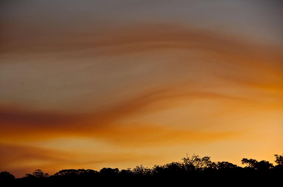 tramonto, cielo, nuvole, arancia, grigio, wavey, Australia, orizzonte, alberi, albero, pianta, bellezza nella natura, nuvola - cielo, scenics - natura, la tranquillità, silhouette, scena tranquilla, natura, nessuno, colore arancione, cielo drammatico, idilliaco, Inquadratura dal basso, ambiente, all'aperto, scena non urbana, cima dell'albero, 2K