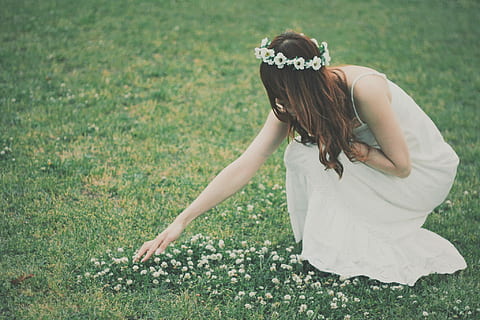 femme, blanc, robe, cueillette, fleur, greenfield, femme en blanc, en plein air, femmes, herbe, la nature, personnes, une personne, les femelles, ethnie caucasienne, été, adulte, beauté, jeune adulte, belle, mignonne, journée, de bonne humeur, bonheur, souriant, modes de vie, cheveux bruns, cheveux longs, plante, terre, coiffure, Vrais gens, champ, Activité de loisir, Vêtements décontractés, jeune femme, cheveux, couleur verte, 1080P, CC0, domaine public, libre de droits