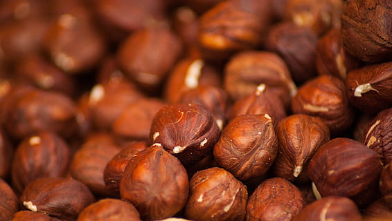 banyak, coklat, gila, kacang hazel, buah kering, hazel, makanan dan minuman, makanan, sekelompok besar objek, kesegaran, kacang, kelimpahan, makan sehat, kacang - makanan, kesejahteraan, bingkai penuh, merapatkan, tidak ada orang, latar belakang, buah, pasar, camilan, dalam ruangan, kastanye - makanan, tumpukan, 4K, CC0, domain publik, bebas royalti