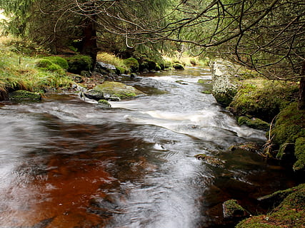 flod, træ, vand, forurening, strøm - rindende vand, ingen mennesker, natur, flydende vand, plante, Skov, bevægelse, skønhed i naturen, scenics - natur, lang eksponering, flyder, jord, klippe, dag, rock-objekt, sløret bevægelse, udendørs, magt i naturen, 4K, CC0, offentligt domæne, royaltyfrie