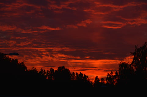 himmel, solnedgang, skyer, sol, Danmark, landskab, aften, træer, ild, rød, sort, sky - himmel, skønhed i naturen, træ, scenics - natur, rolig scene, ro, silhuet, orange farve, dramatisk himmel, ingen mennesker, plante, natur, idyllisk, ikke-urbane scene, mørk, udendørs, ildevarslende, 5K, CC0, offentligt domæne, royaltyfrie