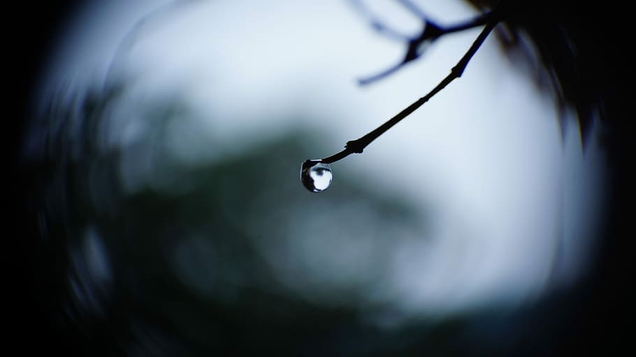 Foto fokussieren, Wassertropfen, selektiv, fokus fotografie, Tau, Zweig, fallen, Regentropfen, Ast, Baum, Bokeh, Makro, Regen, Wasser, kahl, Feuchtigkeit, Nahansicht, Natur, Fokus auf den Vordergrund, nass, keine Leute, Pflanze, Schönheit in der Natur, draußen, selektiver Fokus, Tag, Reinheit, Frische, Ruhe, 5K
