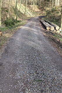 Away, Forest, Path, Trees, Nature, forest path, landscape, lane, hiking, on foot, trail, wood, road, the way forward, transportation, day, no people, tree, direction, plant, diminishing perspective, land, sign, outdoors, empty road, footpath, tranquility, country, non-urban scene, street, long, gravel, 5K, CC0, public domain, royalty free