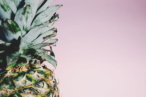 Ananas Seitenansicht Fotografie, undeutlich, verschwommen, Ananas, Rau, Spikes, Pflanze, kopieren sie platz, keine Leute, Wachstum, drinnen, Studioaufnahme, grüne Farbe, Blatt, Pflanzenteil, farbiger Hintergrund, Natur, Nahansicht, Schönheit in der Natur, Frische, Lebensmittel, Wandbau - Funktion, Baum, Muster, Essen und Trinken, 5K, CC0, gemeinfrei, lizenzfrei