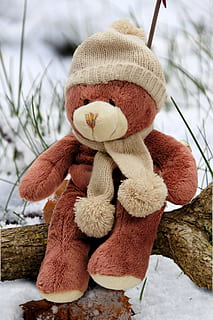 Marrone, orso, felpa, giocattolo, ramo di un albero, orsi, orsacchiotto, orsacchiotto di peluche, animale impagliato, inverno, la neve, sciarpa, berretto, freddo, temperatura fredda, avvicinamento, nessuno, giorno, cappello, albero, concentrarsi sulle conoscenze acquisite, Natale, decorazione, pianta, natura, decorazione natalizia, celebrazione, arte e artigianato, vacanza, pupazzo di pezza, all'aperto, ornamento di Natale, morbidezza, 2K, CC0, dominio pubblico, privo di copyright