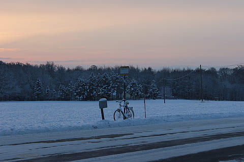 invierno, ciclo, parada de autobús, temperatura fría, nieve, árbol, cielo, puesta de sol, belleza en la naturaleza, planta, naturaleza, paisajes - naturaleza, tranquilidad, escena tranquila, congelado, campo, tierra, color naranja, cubierta, escena no urbana, ambiente, nadie, al aire libre, 5K, CC0, dominio público, libre de derechos
