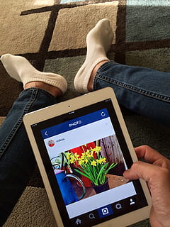 persona, celebració, blanc, ipad, mostrant, rosa, flors, instagram, Internet, digital, social, tecnologia, en línia, persones reals, una persona, secció baixa, estils de vida, part del cos humà, cama humana, vista d’angle alt, comunicació, pantalla, texans, tecnologia sense fils, perspectiva personal, roba casual, mà humana, part del cos, connexió, telèfon intel·ligent, mà, 2K, CC0, domini públic, lliure de regalies