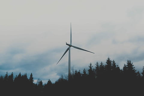 bianca, mulino a vento, nuvoloso, cielo, mulino a vento con alberi, clima, efficienza, energia, ambiente, rinnovabile, turbina, turbina eolica, elettricità, Generatore, alternativa, creare, elettrico, electricidad, energia rinnovabile, albero, energia alternativa, combustibile e produzione di energia, energia eolica, pianta, conservazione dell'ambiente, natura, nuvola - cielo, nessuno, silhouette, Inquadratura dal basso, bellezza nella natura, tecnologia, scenics - natura, all'aperto, risorse sostenibili, potere in natura, Alimentazione elettrica, 4K, CC0, dominio pubblico, privo di copyright