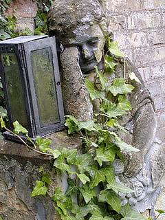 inactiu, estàtua, tristesa, memòria, mort, representació humana, full, dia, part de la planta, escultura, planta, creixement, cap gent, art i artesania, representació, arquitectura, naturalesa, vell, funció de construcció de parets, paret, a l'aire lliure, color verd, sòlid, creativitat, deteriorament, 1080P, CC0, domini públic, lliure de regalies