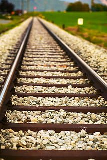 entrenar, ferrocarril, caminos, vías de tren, en una fila, transporte, transporte ferroviario, nadie, día, pista, centrarse en primer plano, perspectiva decreciente, dirección, metal, enfoque selectivo, el camino a seguir, de cerca, punto de fuga, comida, comida y bebida, planta, naturaleza, frescura, nivel de la superficie, largo, paralela, 4K, CC0, dominio público, libre de derechos