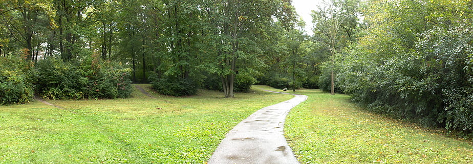 panorama, parco, sentiero, camminare, verde, erba, pianta, albero, colore verde, natura, nessuno, paesaggio, bellezza nella natura, direzione, giorno, la tranquillità, scena tranquilla, scena non urbana, ambiente, scenics - natura, la strada davanti, terra, all'aperto, prospettiva decrescente, percorso del giardino, giardino ornamentale, 5K, CC0, dominio pubblico, privo di copyright