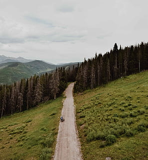 road, middle, trees, pathway through trees, track, path, tree, forest, sky, plant, scenics - nature, tranquil scene, beauty in nature, tranquility, direction, the way forward, mountain, cloud - sky, non-urban scene, nature, environment, landscape, no people, grass, idyllic, day, diminishing perspective, long, trail, 4K, CC0, public domain, royalty free