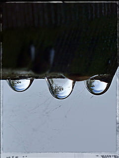 picaturi de ploaie, reflecţie, macro, natură, apă, lichid, clar, curat, transparent, cădere brusca, nici o persoana, a închide, umed, zi, transfer de imprimare, în aer liber, auto post producție filtru, ploaie, picătură de ploaie, malul mării, vedere în unghi mare, puritate, liniște, să se concentreze asupra primelor elemente, sezon ploios, 2K, CC0, domeniu public, fără drepturi de autor