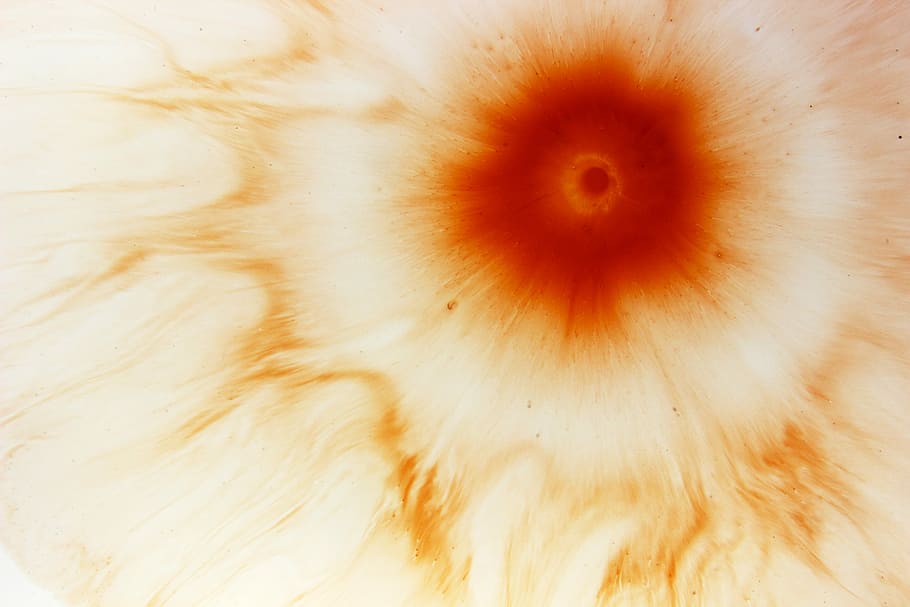 cravatta tinta, rosso, giallo, illustrazione, modello, acqua, colore, dipingere, arancia, sfondi, avvicinamento, colore arancione, fotogramma intero, nessuno, astratto, in casa, girato in studio, Marrone, cibo e bevande, primo piano estremo, cibo, strutturato, sfondi astratti, creatività, benessere, fetta, mangiare sano, effetto strutturato, 5K