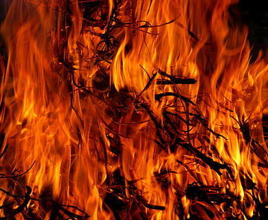 deginimas, Ugnis, liepsna, karšta, ugnis - gamtos reiškinys, šilumos - temperatūra, inferno, raudona, geltona, pobūdį, oranžinė spalva, Iš arti, nėra žmonių, mediena - medžiaga, laužas, ženklas, judėjimas, komunikacijos, įspėjamasis ženklas, žurnalas, medis, fonas, naktis, mediena, laužo, juodas fonas, 2K, CC0, Viešasis domenas, nemokamai
