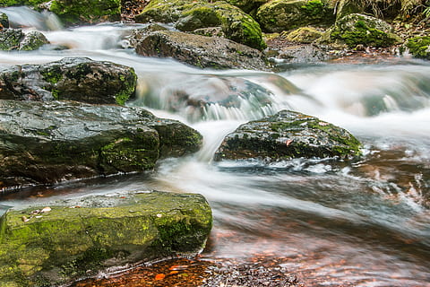 tidsforløb fotografering, legeme, vand, flod, bach, vand, flow, idyllisk, flyde, farvande, buske, natur, bæk, sten, kampesten, plaske, vand løbende, humør, naturlig, mossesten, river la hoegne ostbelgien, vandfald, bevægelse, lang eksponering, ingen mennesker, scenics - natur, skønhed i naturen, klippe, rock-objekt, solid, flydende vand, sløret bevægelse, Skov, mos, træ, plante, jord, flyder, udendørs, magt i naturen, strøm - rindende vand, regnskov, faldende vand, 5K, CC0, offentligt domæne, royaltyfrie
