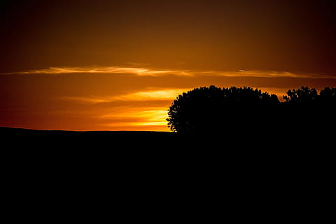 cer, seară, apus de soare, nori, amurg, cerul de seară, portocaliu cer, forme de nori, soare, siluetă, scenics, natură, peisaj, frumusețe în natură, liniște, scenice - natura, o scenă liniștită, nor - cer, copac, culoare portocalie, mediu inconjurator, plantă, nici o persoana, scenă non-urbană, dramatic cer, spațiu copie, teren, idilic, în aer liber, întuneric, cerul romantic, 4K, CC0, domeniu public, fără drepturi de autor