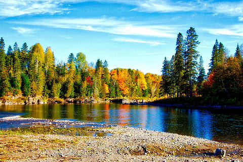 River, Landscape, Fall, Nature, autumn, forest, water, autumnal, rural, countryside, trees, reflection, picturesque, tree, scenics, lake, outdoors, beauty In Nature, sky, blue, woodland, mountain, green Color, canada, tranquil Scene, wilderness Area, no People, travel, mountain Range, summer, pine Tree, color Image, non-Urban Scene, park - Man Made Space, plant, tranquility, scenics - nature, cloud - sky, day, growth, change, coniferous tree, 5K, CC0, public domain, royalty free