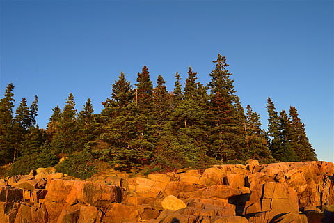 posta de sol, arbres, roques, pins, maine, naturalesa, paisatge, cel, blau, Costa, línia de costa, escènic, vespre, a l'aire lliure, rocós, verd, salvatge, llum solar, taronja, pedra, natural, parc, Riba, oceà, aigua, fosc, color, arbre, planta, bosc, escenics - natura, pi, cap gent, terra, bellesa a la natura, arbre de coníferes, muntanya, rock, escena tranquil·la, escena no urbana, destinacions de viatge, sòlid, bosc de pi, tranquil·litat, rock - object, 4K, CC0, domini públic, lliure de regalies