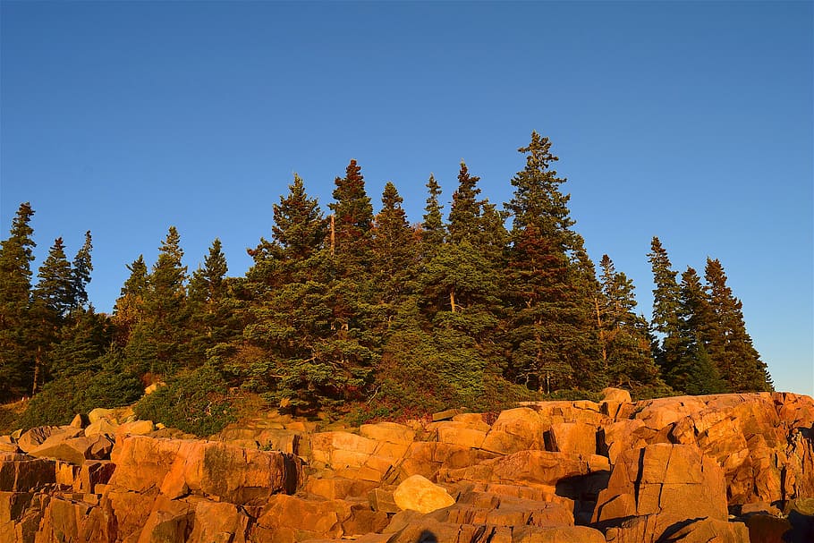 posta de sol, arbres, roques, pins, maine, naturalesa, paisatge, cel, blau, Costa, línia de costa, escènic, vespre, a l'aire lliure, rocós, verd, salvatge, llum solar, taronja, pedra, natural, parc, Riba, oceà, aigua, fosc, color, arbre, planta, bosc, escenics - natura, pi, cap gent, terra, bellesa a la natura, arbre de coníferes, muntanya, rock, escena tranquil·la, escena no urbana, destinacions de viatge, sòlid, bosc de pi, tranquil·litat, rock - object, 4K