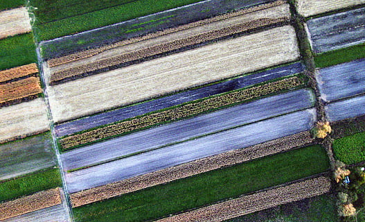 pa, dur, ..., ocell, vista d'ulls, granja, vista aèria, camps, files, cultius, cap gent, vista d’angle alt, patró, dia, primer pla, camp, planta, tèxtil, color verd, terra, marc complet, herba, a l'aire lliure, fons, naturalesa, en fila, material de fusta, blau, multicolor, centrar-se en primer pla, Banc del parc, 2K, CC0, domini públic, lliure de regalies