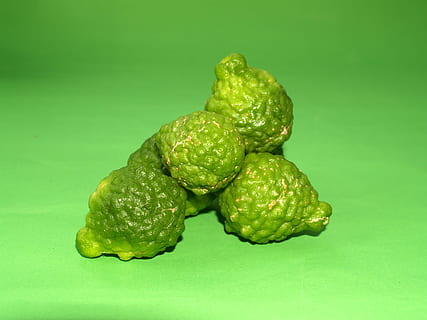 bergamota, Fruta, hoja, aislado, Tailandia, áspero, limón, natural, tropical, verde, herbario, orgánico, Lima, agrios, Asia, vegetal, tailandés, pelo, cocina, kaffir, hierba, ingrediente, antiguo, Fresco, comida, crudo, color verde, frescura, de cerca, naturaleza, comida y bebida, nadie, macro, fondo de color, alimentación saludable, fondo verde, naturaleza muerta, bienestar, foto de estudio, adentro, separar, grupo de objetos, dos objetos, centrarse en primer plano, 2K, CC0, dominio público, libre de derechos