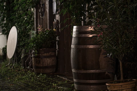 barril, restaurant, nit, taula, heura, plantes, verd, ciutat, a l'aire lliure, cap gent, Keg, celler, dia, planta, naturalesa, creixement, cilindre, contenidor, arbre, planta en test, material de fusta, davant o pati del darrere, centrar-se en primer pla, agricultura, arquitectura, menjar i beguda, color verd, barrica de vi, primer pla, roda, 5K, CC0, domini públic, lliure de regalies