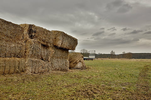 Stroh, Heu, Ballen, Block, Strohballen, Landwirtschaft, Heuballen, Wiese, Feld, Landschaft, mähen, Sommer-, getrocknetes Gras, ländliche Szene, Bauernhof, Natur, Ernte, draußen, Himmel, Gelb, Pflanze, Land, Gras, wolke - himmel, Umgebung, keine Leute, Heuhaufen, Tag, Szenen - Natur, 5K, CC0, gemeinfrei, lizenzfrei