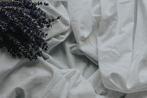 bílá textilie, detailní, fotografie, bílý, tkanina, povlečení na postel, lůžko, levandule, nachový, textil, oblečení, uvnitř, nikdo, detail, bílá barva, móda, stálý život, celý rám, vysoký úhel pohledu, vzor, šaty, den, květ, materiál, zmačkaný, osobní příslušenství, 5K, CC0, veřejná doména, bez autorských práv