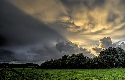 krepuscularis sugarak, zöld, levelű, fák, ég, felhős, hdr, rétek, természet, felhő, menny, tájkép, felhő - ég, szabadban, cloudscape, fa, fű, időjárás, napnyugta, vidéki táj, szépség a természetben, növény, festmények - természet, környezet, nyugalom, nyugodt jelenet, vihar, nem ember, mező, zöld szín, föld, nem városi színtéren, viharfelhő, baljóslatú, 4K, CC0, közkincs, jogdíjmentes