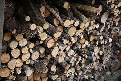 fusta, soques, pila, registre, material de fusta, gran grup d'objectes, llenya, desforestació, indústria de la fusta, bosc, arbre, abundància, marc complet, cap gent, fons, qüestions ambientals, naturalesa, combustibles fòssils, dia, primer pla, a l'aire lliure, pila de fusta, 4K, CC0, domini públic, lliure de regalies