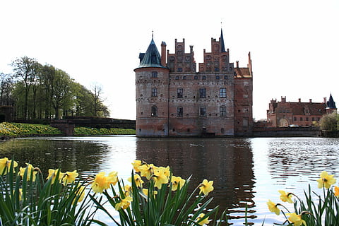 slot, ved siden af, legeme, vand, fyn, Egeskov, forår, Danmark, arkitektur, tårn, berømte sted, Europa, historie, bygget struktur, bygning udvendig, plante, bygning, natur, himmel, blomst, blomstrende plante, skyfri himmel, fortiden, rejsemål, flod, dag, gul, ingen mennesker, udendørs, 2K, CC0, offentligt domæne, royaltyfrie