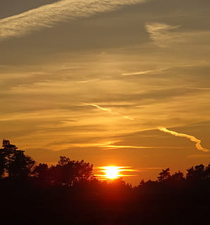 sol, tarda, posta de sol, taronja, groc, núvols, bosc, Sol ponent, naturalesa, silueta, arbres, aire, cel, bellesa a la natura, escenics - natura, tranquil·litat, escena tranquil·la, arbre, color taronja, núvol - cel, planta, idíl·lic, llum solar, cap gent, escena no urbana, a l'aire lliure, medi ambient, paisatge, 1080P, CC0, domini públic, lliure de regalies