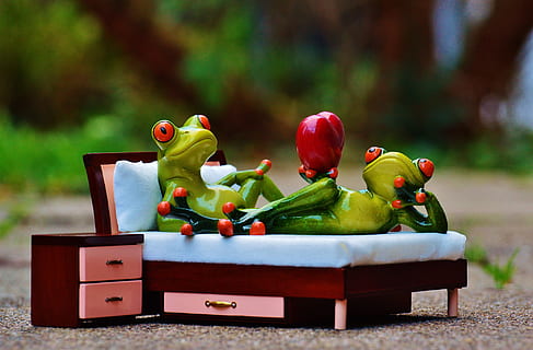 selective, focus photo, two, green, frog, ceramic, figurines, brown, wooden, bed, nightstand miniatures, selective focus, photo, green frog, nightstand, miniatures, love, bedside table, heart, figure, funny, cute, concerns, couch, valentine's day, sweet, animal, together, togetherness, red, focus on foreground, green color, day, variation, no people, food, food and drink, toy, close-up, still life, healthy eating, pepper, representation, fruit, vegetable, freshness, animal representation, table, bell pepper, 4K, CC0, public domain, royalty free