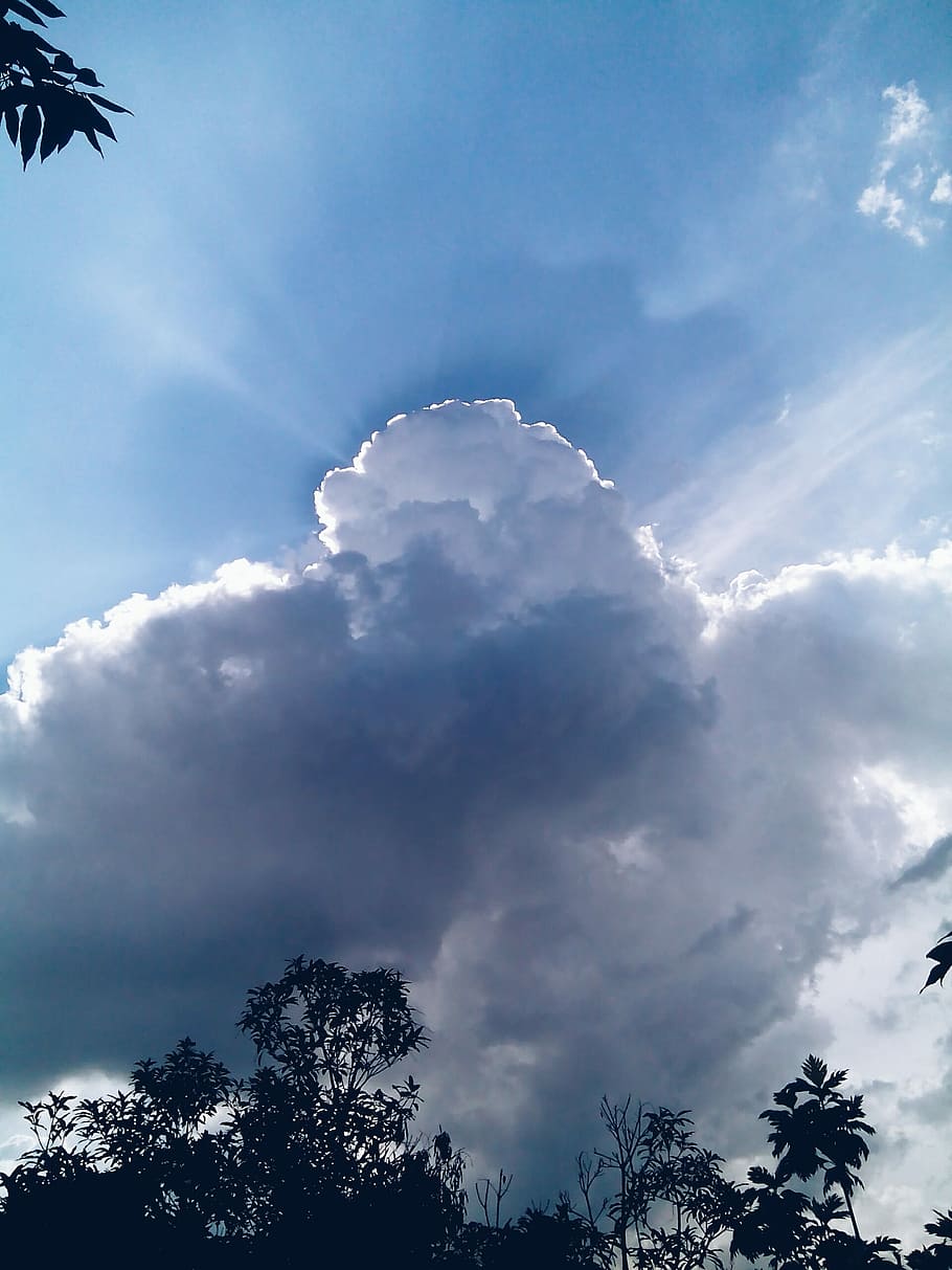 blå, sky, himmel, udsigt, natur, blå, Sky, himlen, himlen er blå, indonesisk, landskabet, smuk, sky - himmel, træ, cloudscape, plante, lav vinkel visning, skønhed i naturen, ro, dag, ingen mennesker, scenics - natur, rolig scene, udendørs, silhuet, vækst, idyllisk, trætop, sollys, solstråle, 2K