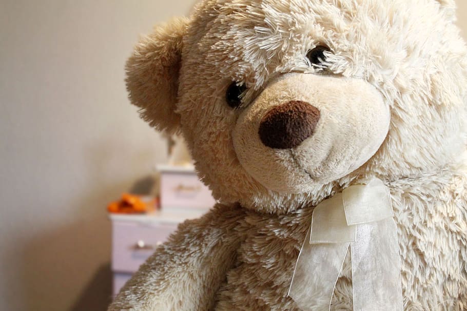 ós de peluix, joguina, osset de peluix, joguina, joguina de peluix, representació animal, primer pla, representació, animal, a l'interior, infància, mamífer, suavitat, temes d'animals, marró, centrar-se en primer pla, bonic, un animal, animals domèstics, interior de casa, nacional, 2K