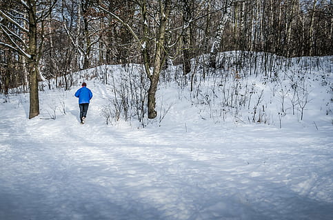 jogging, inverno, la neve, albero, natura, temperatura fredda, una persona, pianta, stili di vita, terra, attività di svago, retrovisore, persone reali, capi di abbigliamento, giorno, albero nudo, copertura, campo, sport, Colore bianco, vestiti caldi, montagna innevata, 4K, CC0, dominio pubblico, privo di copyright