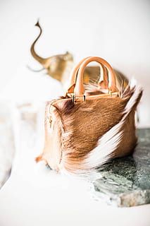 selektiv, fokus fotografie, braun, Weiß, Lederhandtasche, Pelzhandtasche, grau, Marmorplatte, Tasche, Pelz, Tabelle, Elefant, Tier, Säugetier, Tierthemen, ein Tier, drinnen, selektiver Fokus, Nahansicht, Haustiere, Tierkörperteil, Haar, keine Leute, inländisch, Tierwelt, Eckzahn, Hund, Urlaub, Eleganz, Tag, Emotion, Luxus, Tierkopf, 5K, CC0, gemeinfrei, lizenzfrei