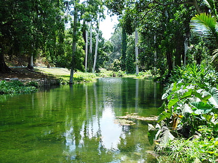 nehir, idil, peyzaj, ağaç, pastoral, doğa, orman, Su, açık havada, yaz, bitki, doğada güzellik, huzur, göl, büyüme, yeşil renk, yansıma, sakin sahne, manzaralar - doğa, insansız, kentsel olmayan sahne, gün, liman bölgesi, arazi, 2K, CC0, kamu malı, telif ücretsiz